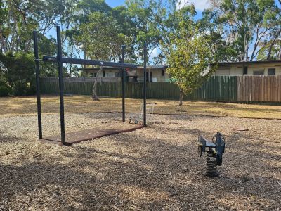 Monkey bars and rocker