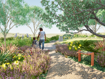 Sensory native planting