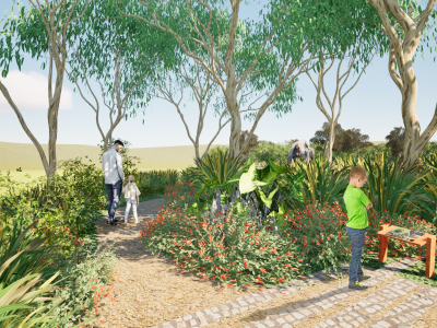 Surface textures and native shrubs